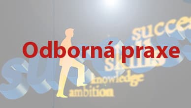 Odborná praxe 1